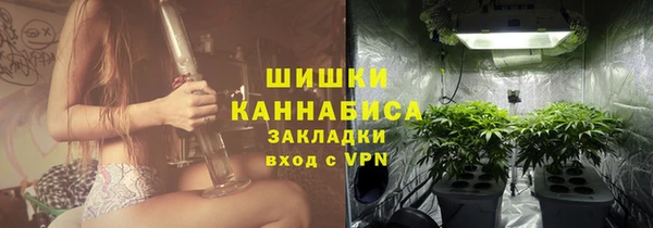 Альфа ПВП Аркадак