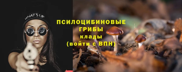 mix Арсеньев