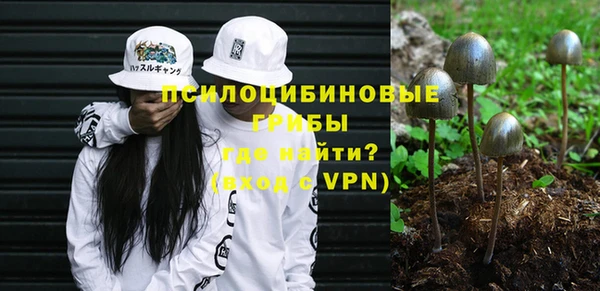Альфа ПВП Аркадак