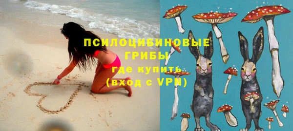Альфа ПВП Аркадак