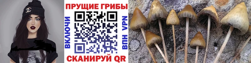 Галлюциногенные грибы ЛСД  Купить закладки  Гулькевичи 